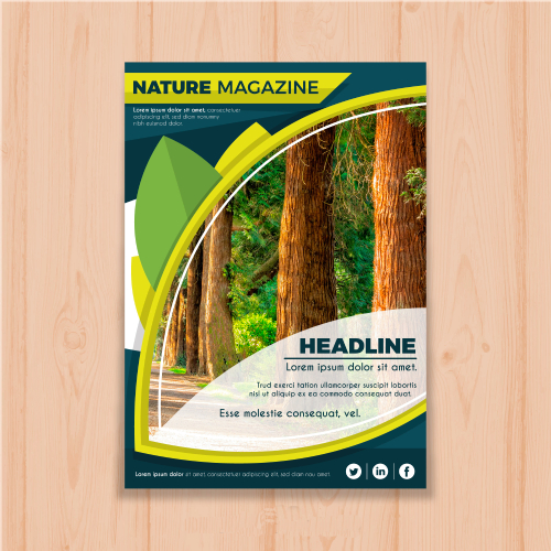 product-book-06